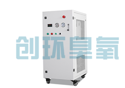 通辽石斑鱼养殖水质调控完整指南：臭氧发生器配置与操作步骤
