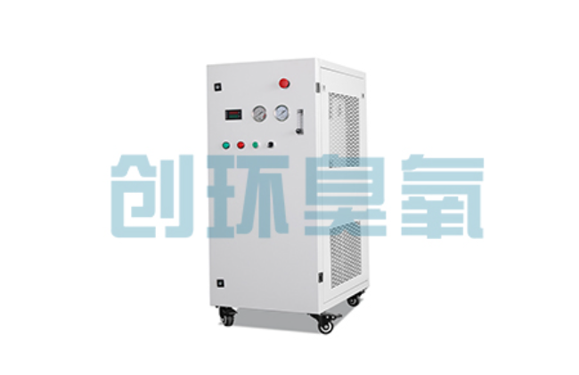 通辽比传统换水更高效？臭氧发生器在石斑鱼养殖中的水质净化原理解析
